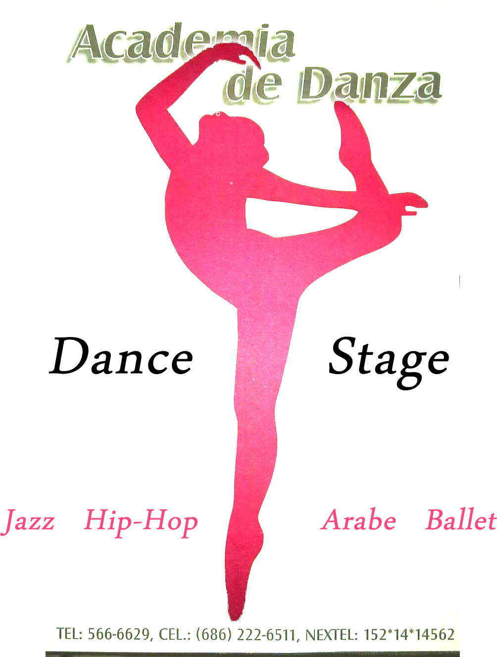 Academia de Danza Dance Stage