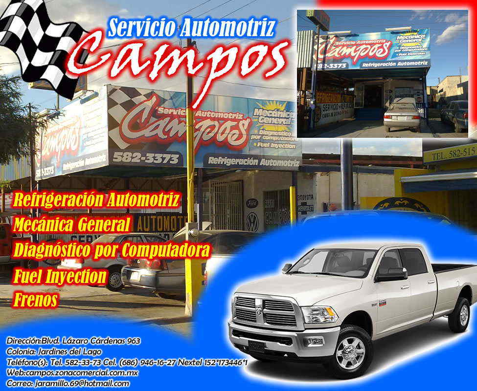 SERVICIO AUTOMOTRIZ Campos