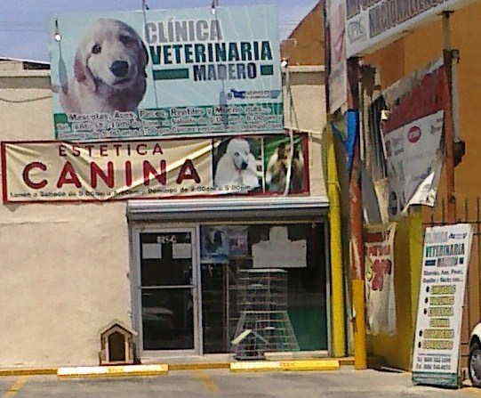 CLINICA VETERINARIA MADERO