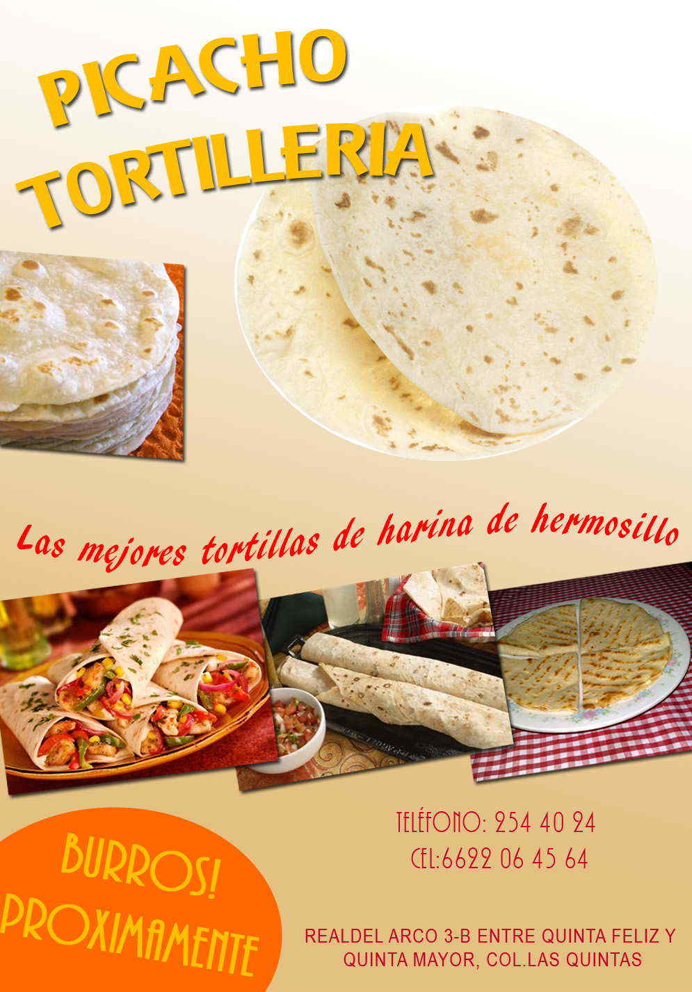 PICACHO TORTILLERIA