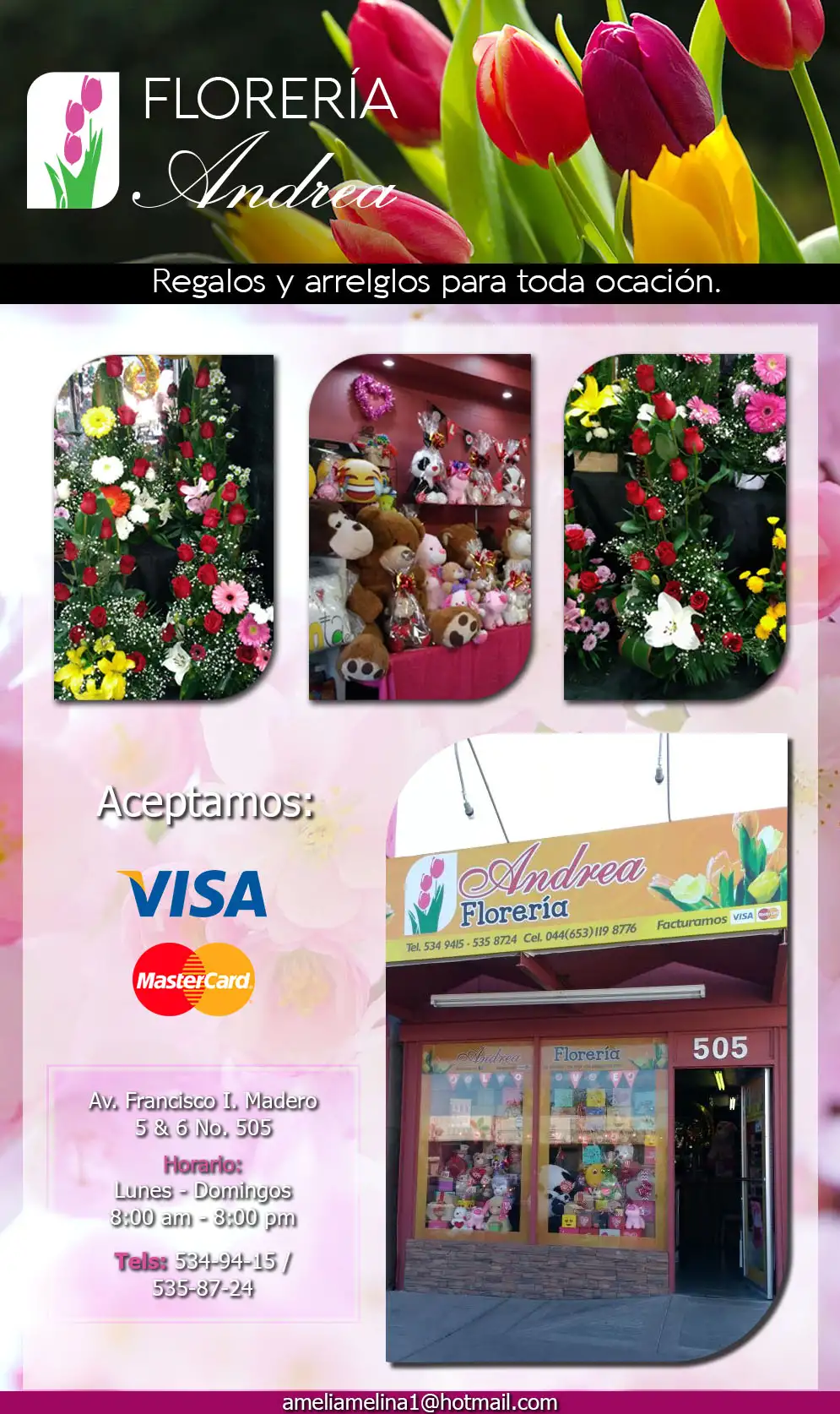 FLORERIA ANDREA