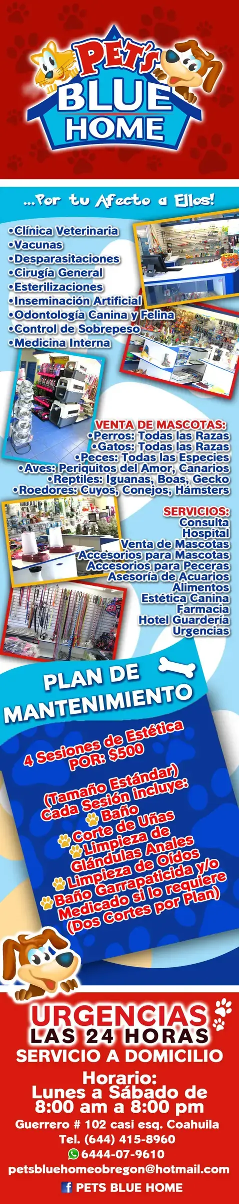 PETS BLUE HOME